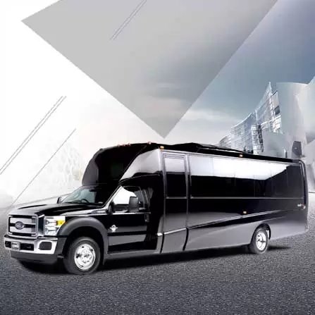 Limousine Service Minneapolis MN Mini Bus Int